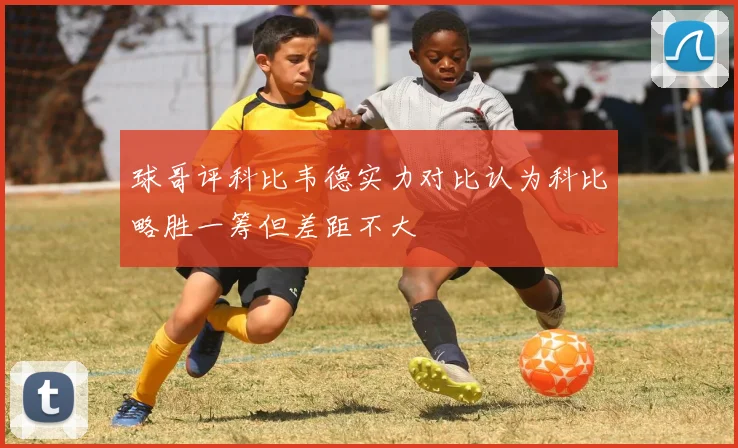 球哥评科比韦德实力对比认为科比略胜一筹但差距不大