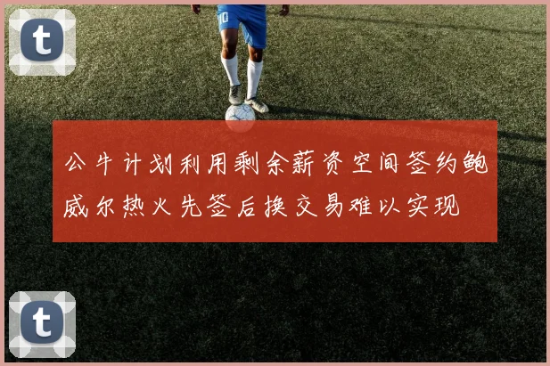 公牛计划利用剩余薪资空间签约鲍威尔热火先签后换交易难以实现